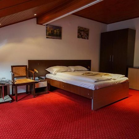 Hotel Vila Trandafirul Si Liliacul Caciulata Exteriér fotografie