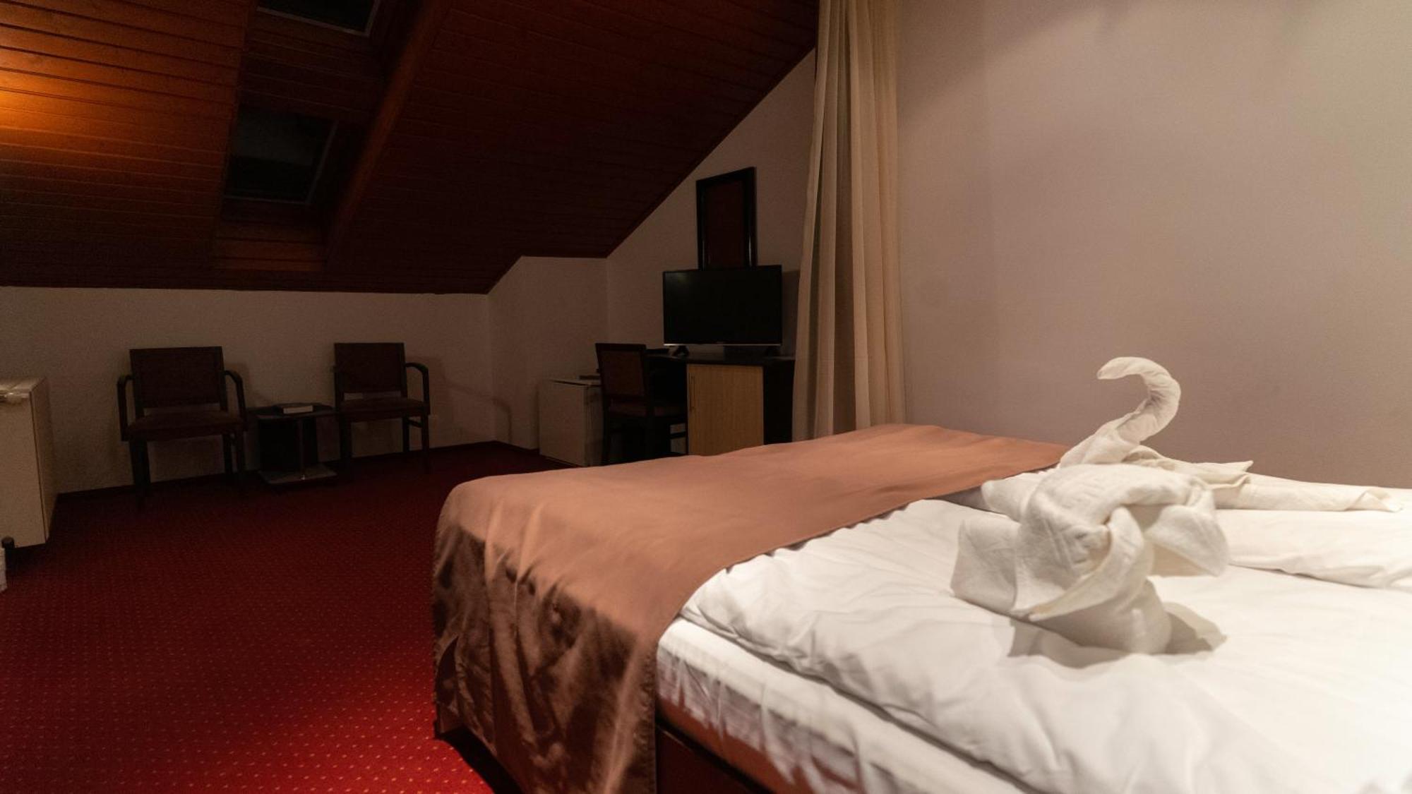 Hotel Vila Trandafirul Si Liliacul Caciulata Exteriér fotografie