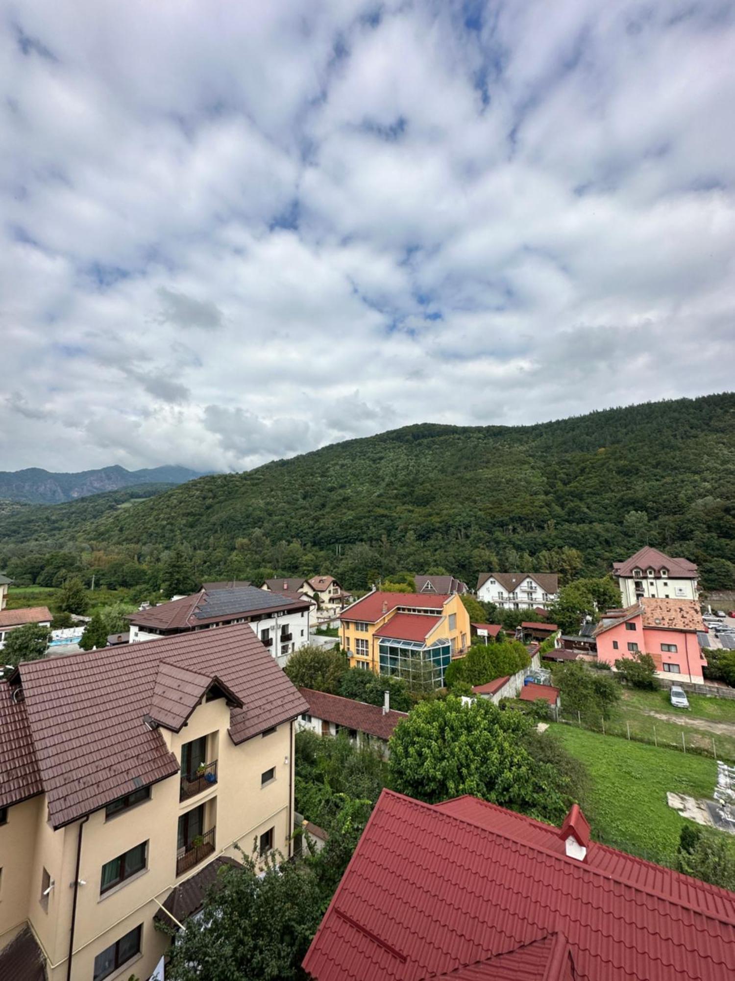 Hotel Vila Trandafirul Si Liliacul Caciulata Exteriér fotografie
